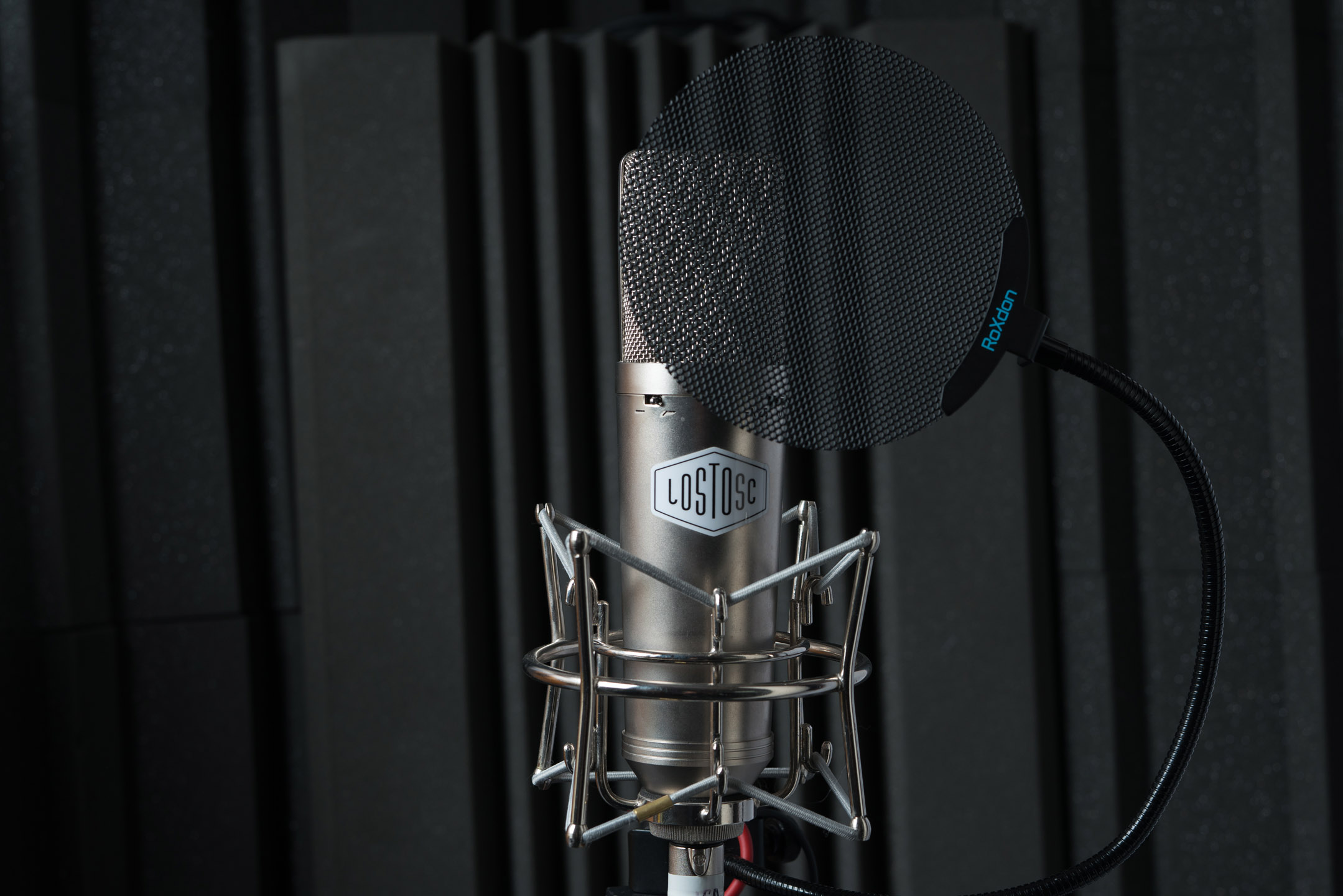Microphone in the Lost Oscillation live room